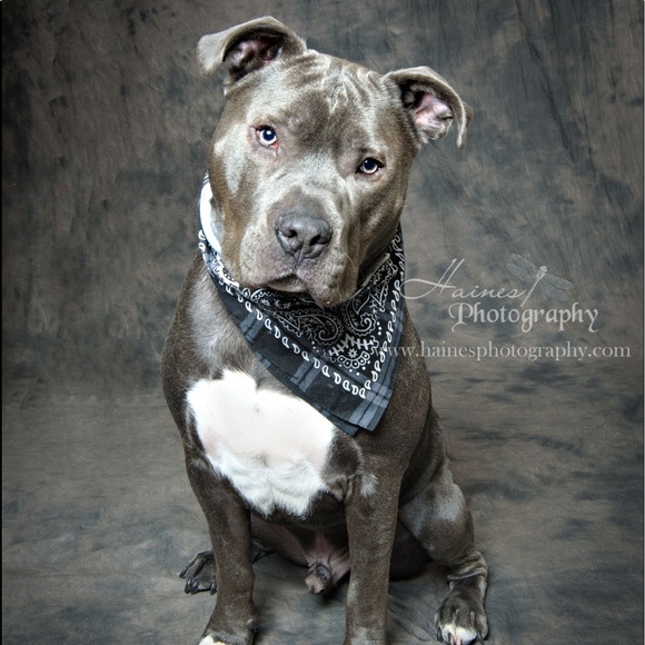 Meet your Posher, Alana - Picture 16 of 16